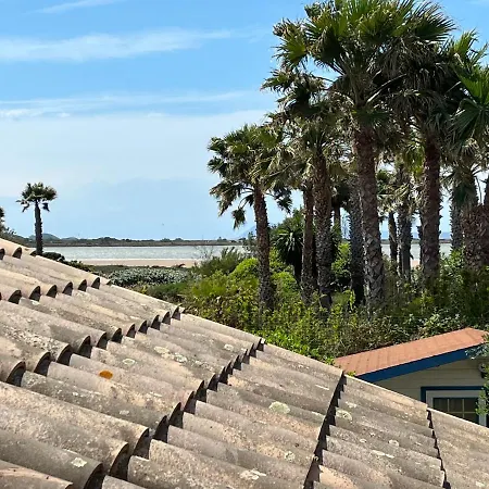 Flamingo Hyères